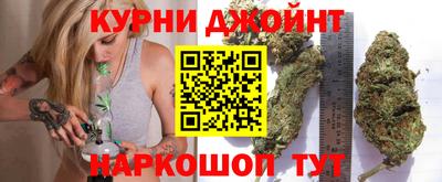 сатива Лесосибирск