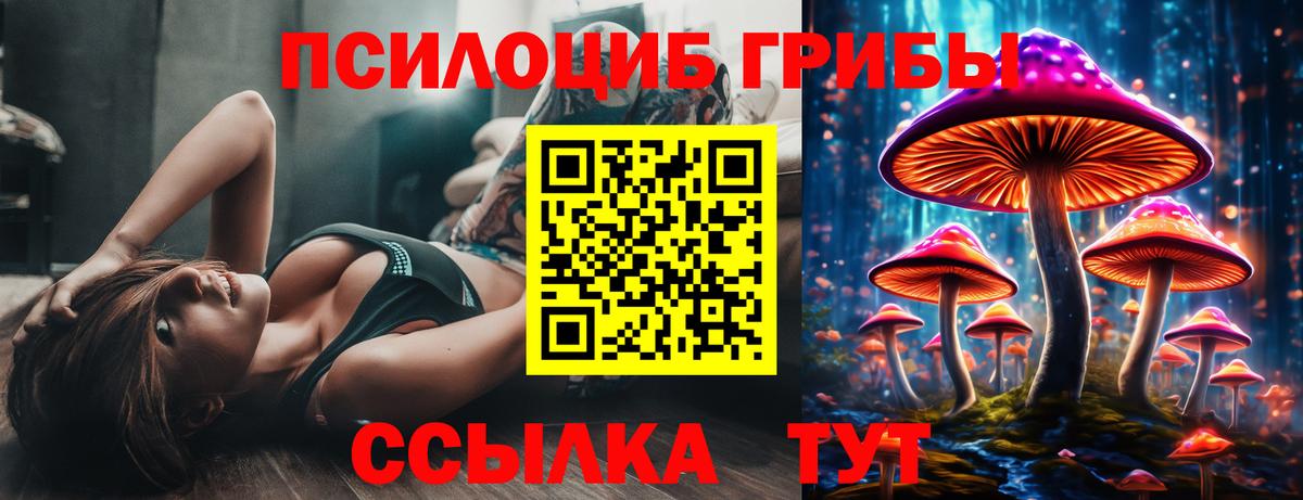Гашиш  Камышин  Alpha-PVP СК кристаллы  Меф МЯУ МЯУ   Марихуана  Вход с VPN  МЕТАДОН 