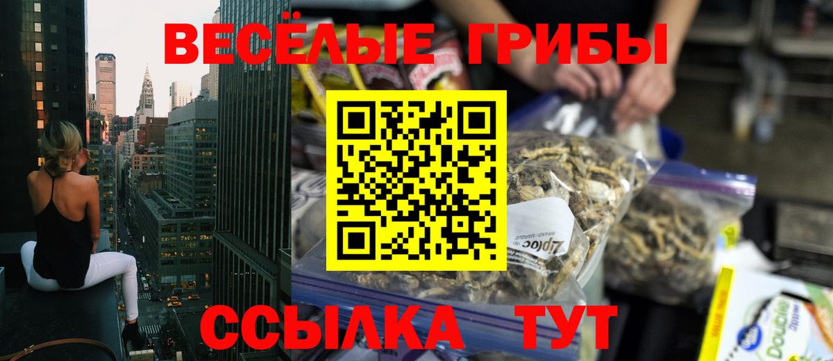магазин продажи наркотиков  Вход с VPN  Псилоцибиновые грибы прущие грибы  Камышин  Псилоцибиновые грибы ЛСД 