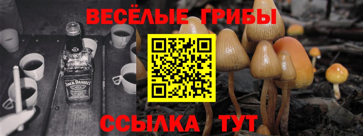 Галлюциногенные грибы GOLDEN TEACHER Камышин