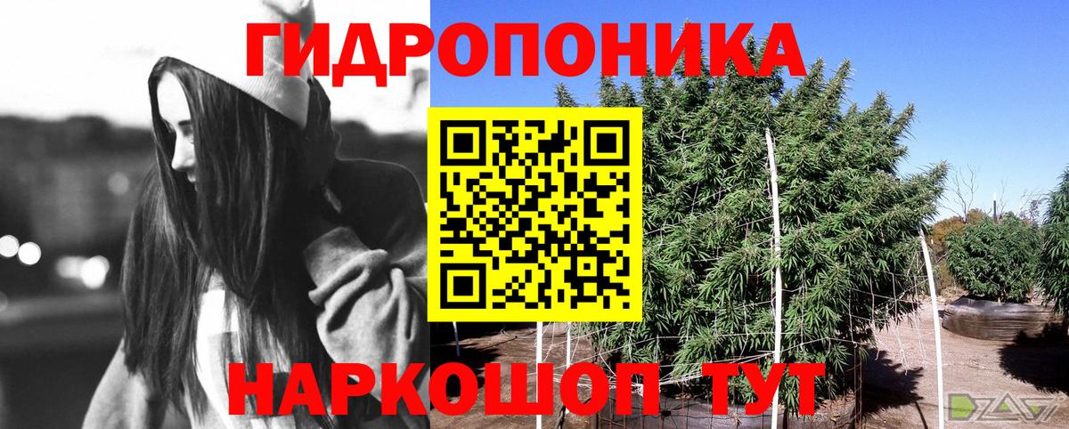 Шишки марихуана тримм  Шишки марихуана VHQ  Бошки Шишки White Widow  Камышин  Вход с VPN 